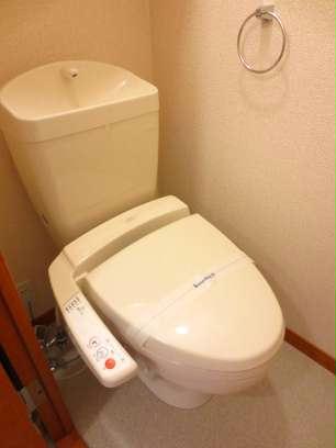 11/24 その他画像