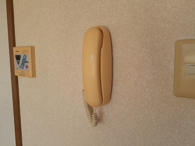 13/22 その他画像