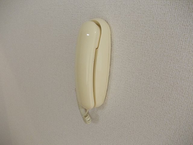 13/22 その他画像