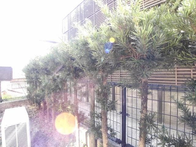 10/17 その他画像