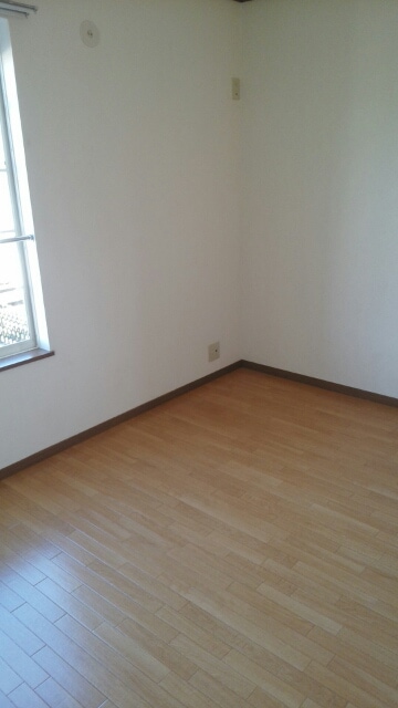 11/20 その他画像