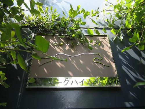 2/11 エントランス