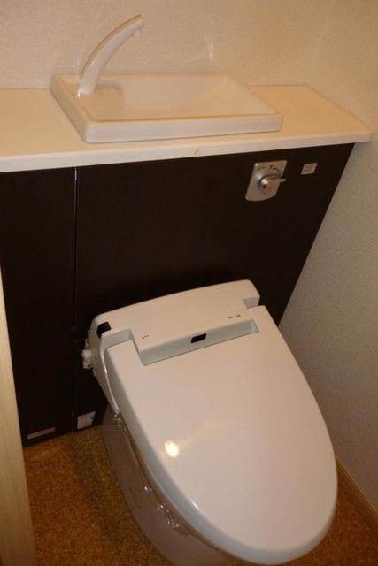 11/20 その他画像