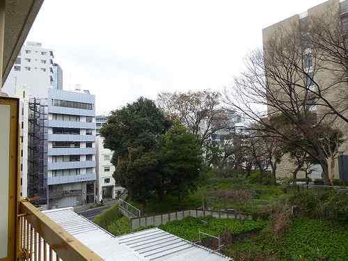 9/15 その他画像