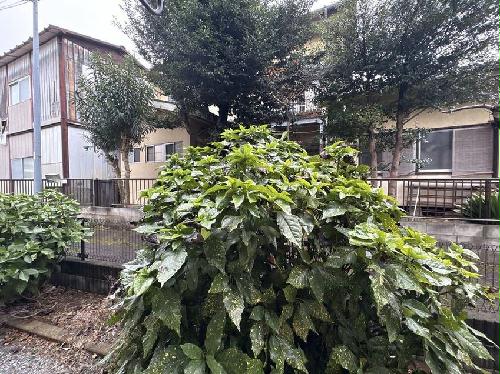 10/14 その他画像