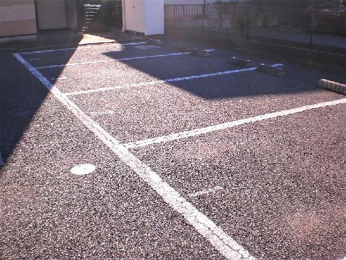 11/14 その他画像