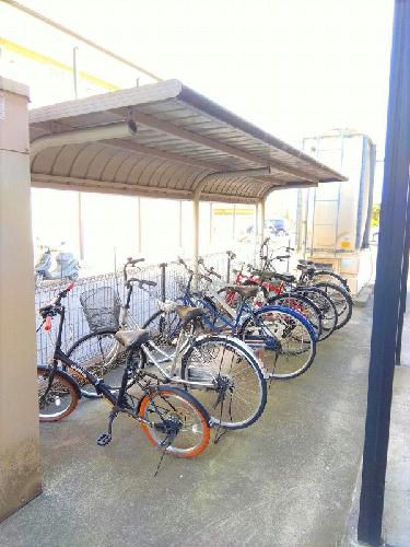 11/19 その他画像