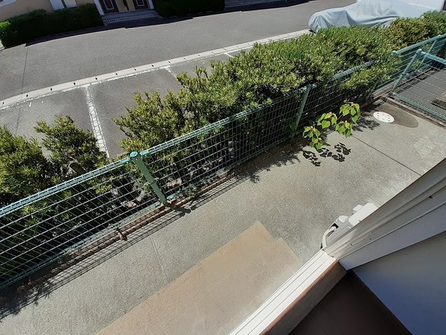 13/20 その他画像