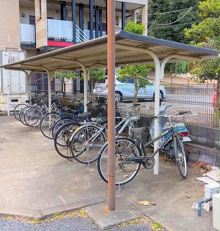 11/14 その他画像