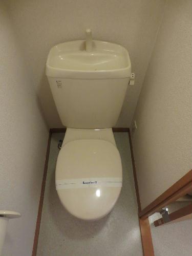 11/14 その他画像