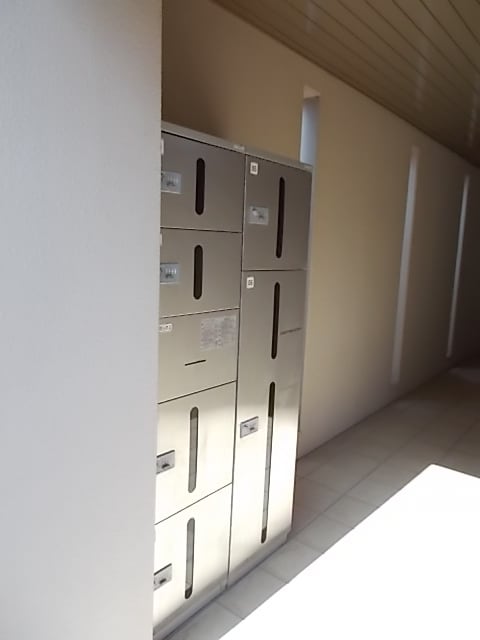 8/17 その他画像