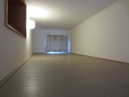 13/19 その他画像