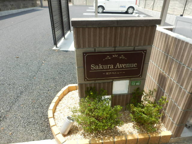 21/24 その他画像