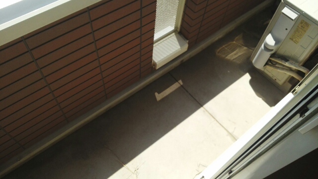 11/20 バルコニー