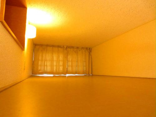 7/18 その他画像