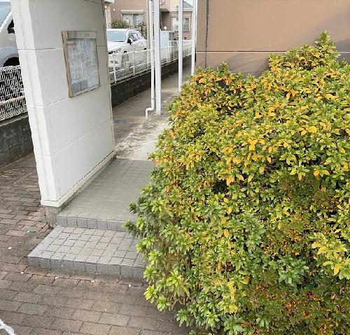 11/14 その他画像