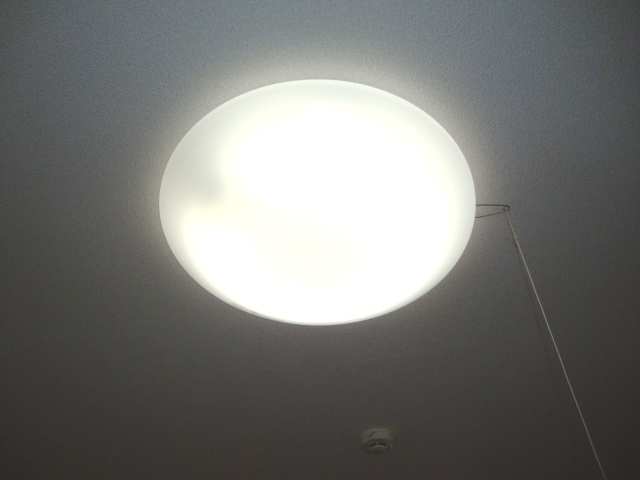 19/26 その他画像