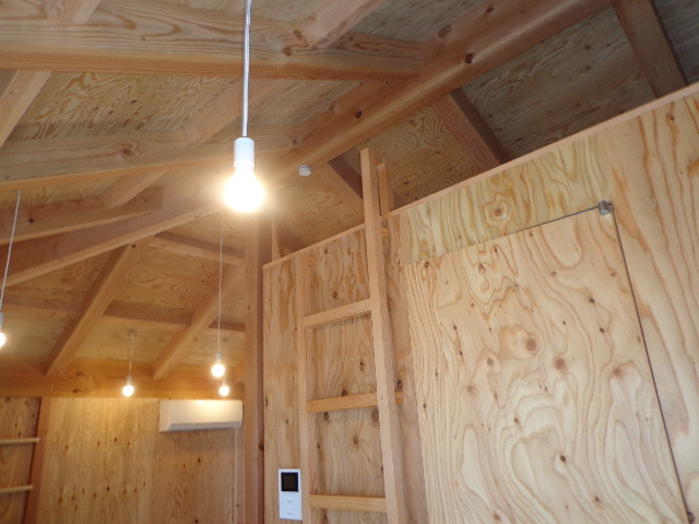 16/25 その他画像