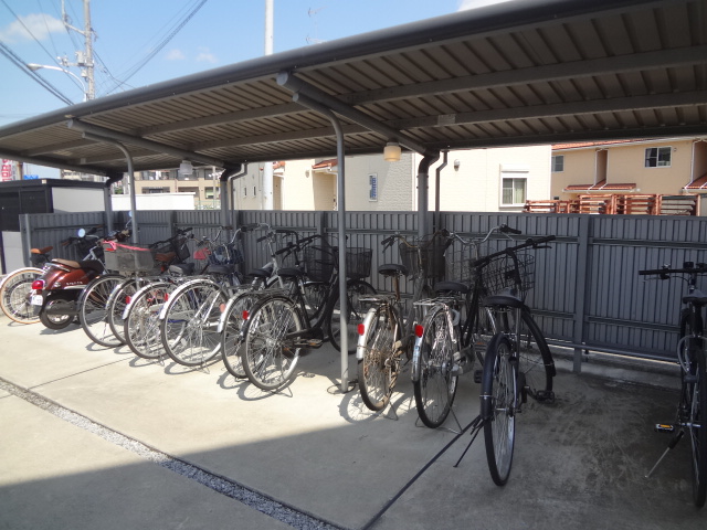 20/30 その他画像