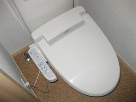 11/25 トイレ