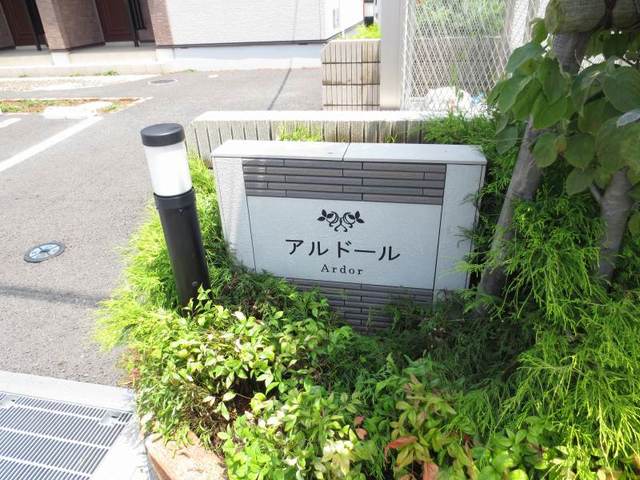 13/20 その他画像