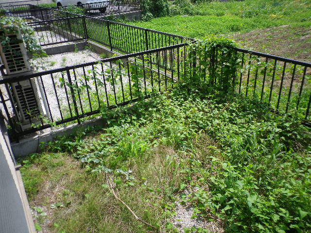 16/28 その他画像