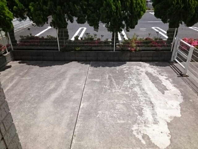 11/20 その他画像