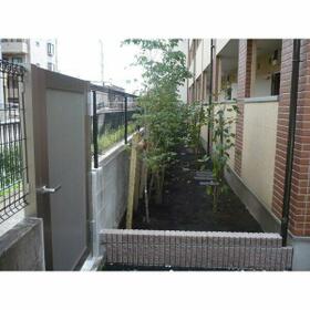 11/16 その他画像