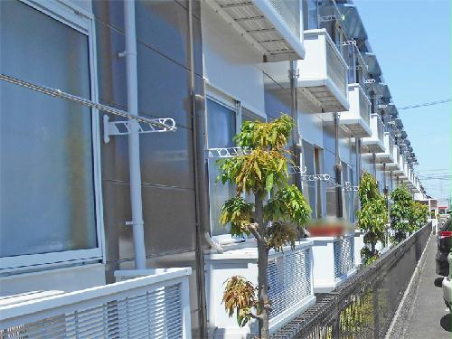 11/16 バルコニー