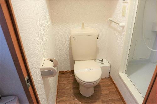 11/14 その他画像