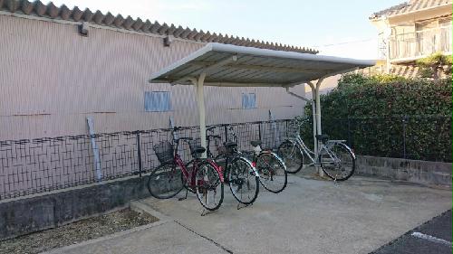 11/24 その他画像