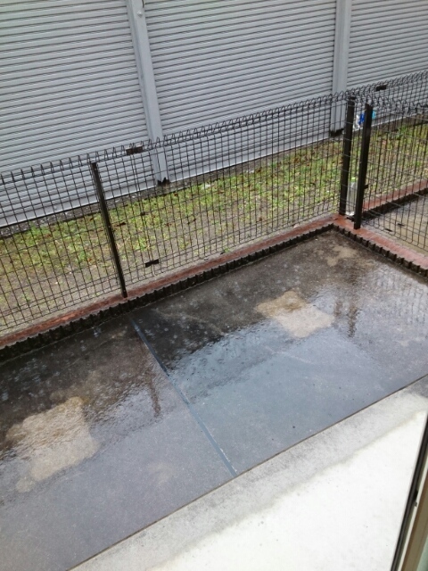 9/20 その他画像