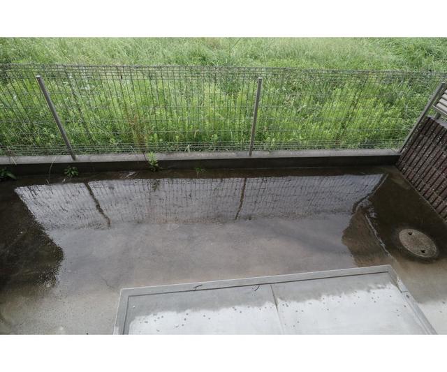 29/29 その他画像