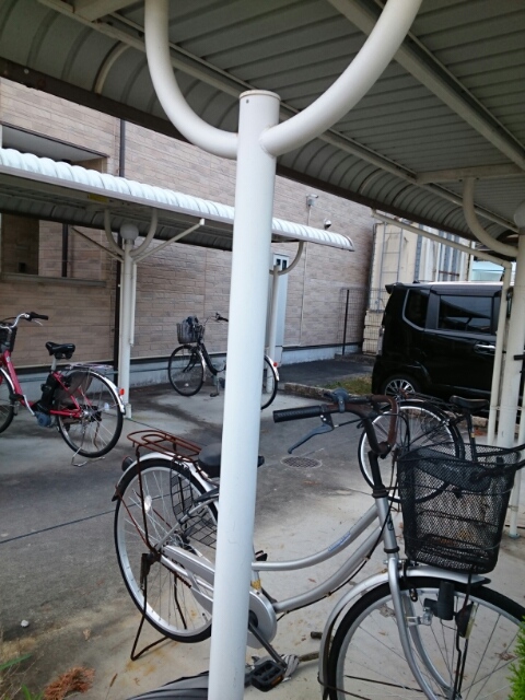 12/20 その他画像