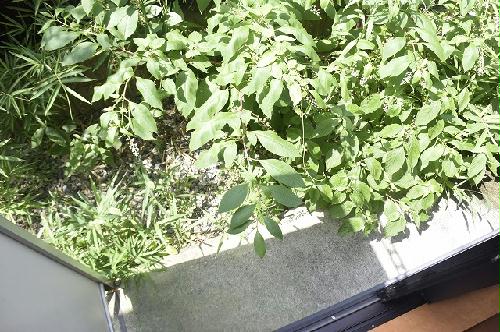 13/17 その他画像