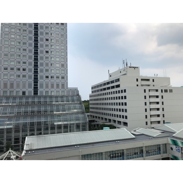 15/26 その他画像