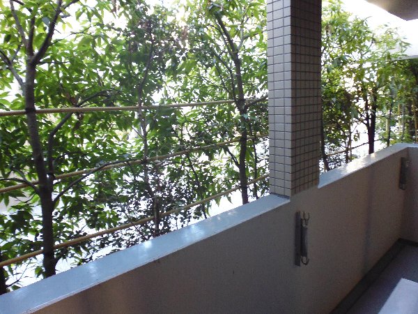 18/29 その他画像