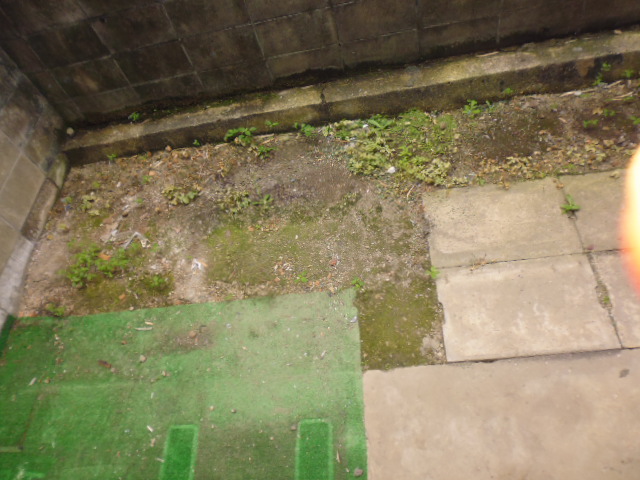 15/22 その他画像