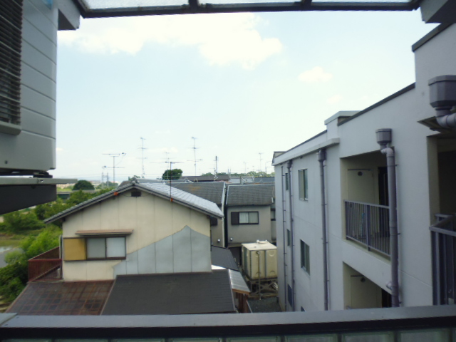 20/30 その他画像