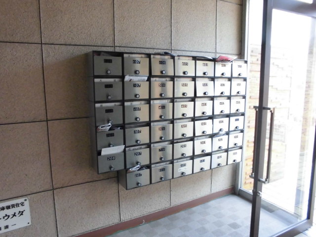 20/30 その他画像