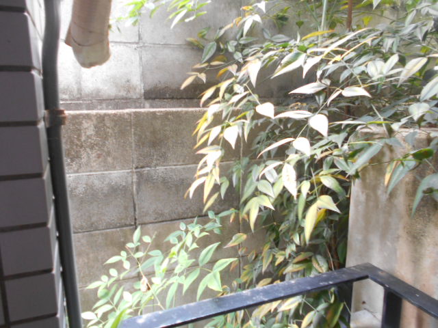 16/30 その他画像