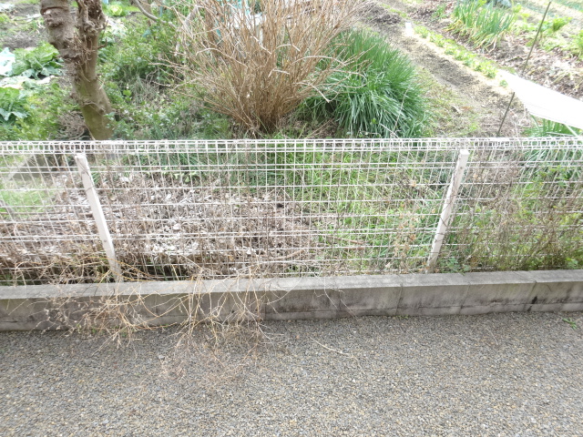 12/25 バルコニー