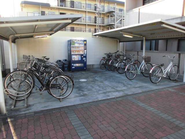 20/30 その他画像