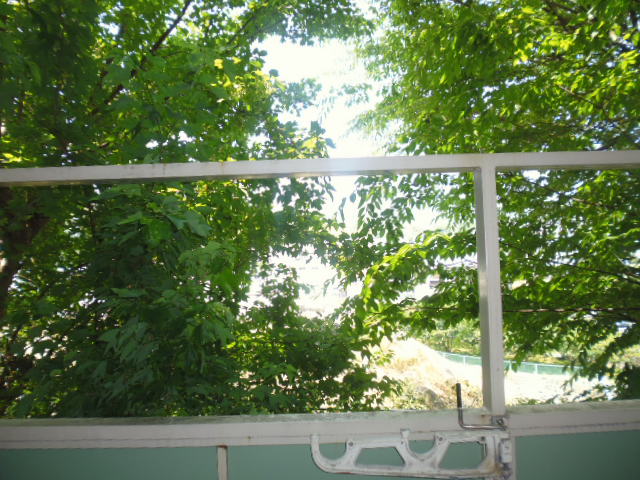 13/30 その他画像