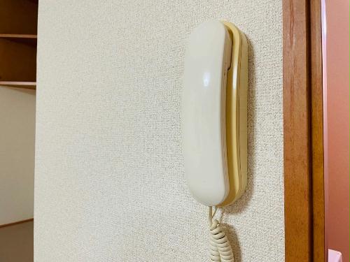 11/15 その他画像