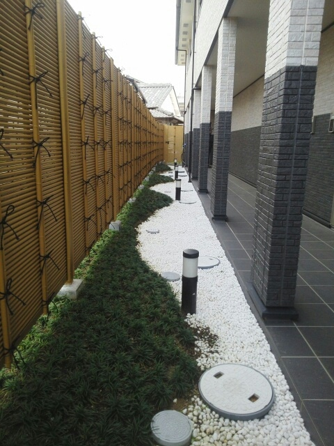 11/20 その他画像