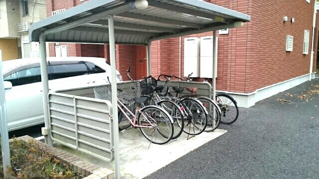 11/20 その他画像