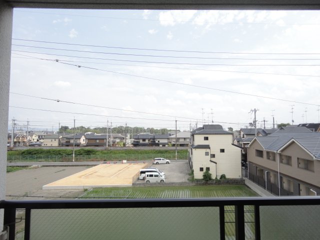 19/29 その他画像