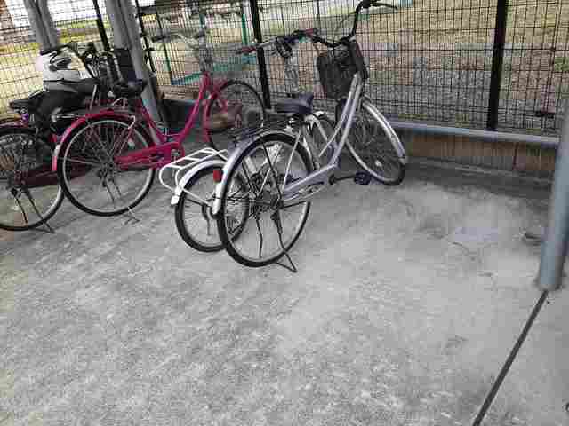 11/24 その他画像