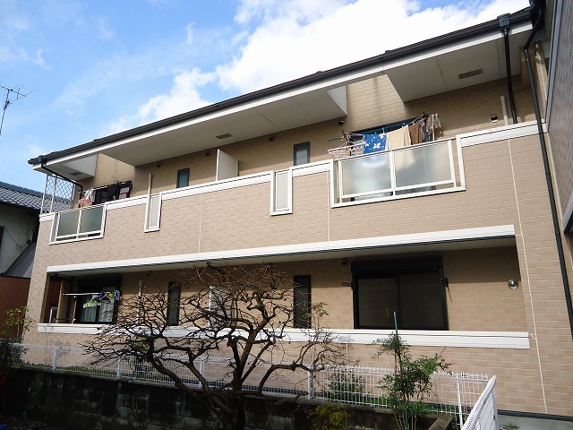 1/20 外観